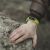 Old Bugs Still Haunt Major Operating Systems